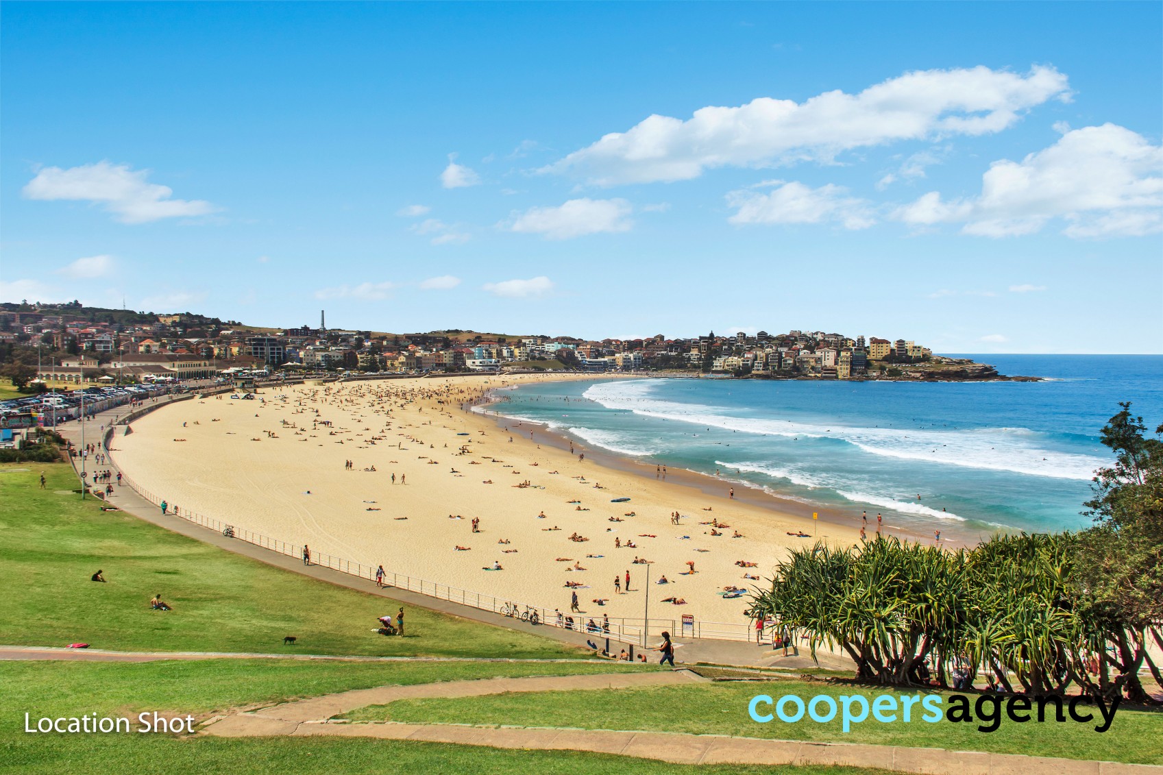 Photo #8: 3/5 Imperial Avenue, Bondi - Leased by Coopers Agency