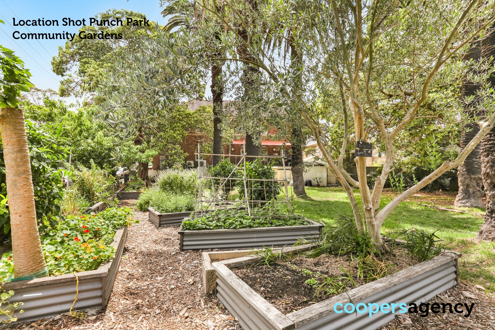 Photo #14: 55/1 Hyam Street, Balmain - Leased by Coopers Agency