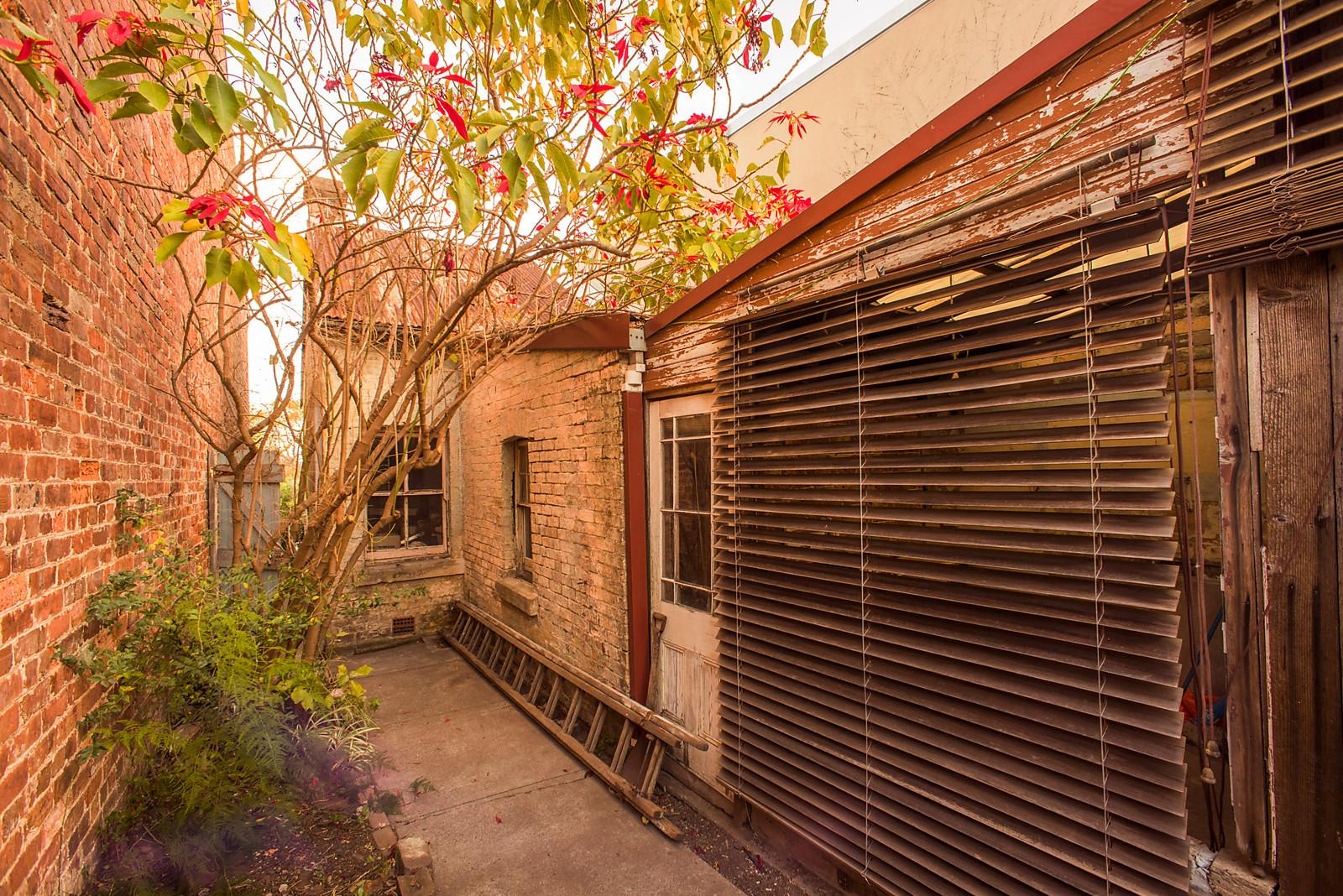 Photo #12: 82 Rowntree Street, Balmain - Sold by Coopers Agency