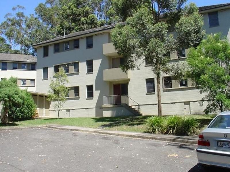 13/137 Herring Road, Macquarie Park Sold by Coopers Agency - image 1