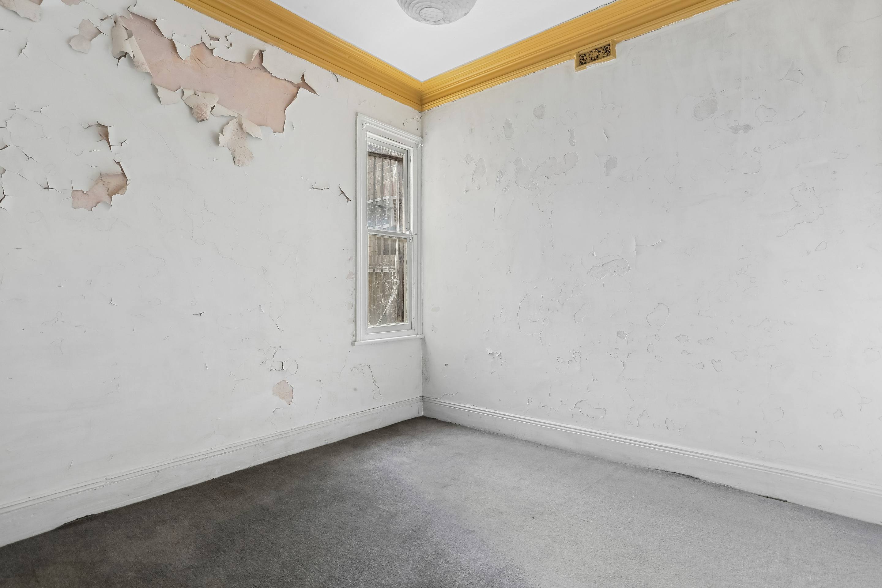 30 Clarendon Road, Stanmore Auction by Coopers Agency - image 4