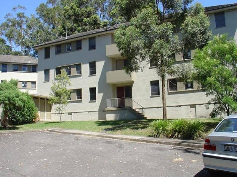 13/137 Herring Road, Macquarie Park Sold by Coopers Agency - image 3