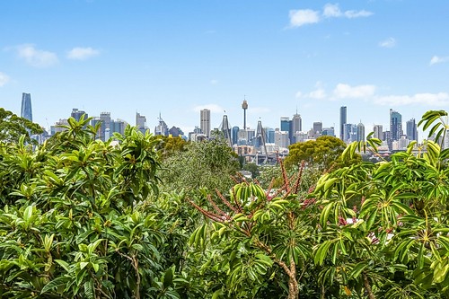 7/465 Balmain Road, Lilyfield Leased by Coopers Agency